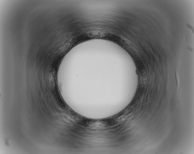 X0000097770460200803281643