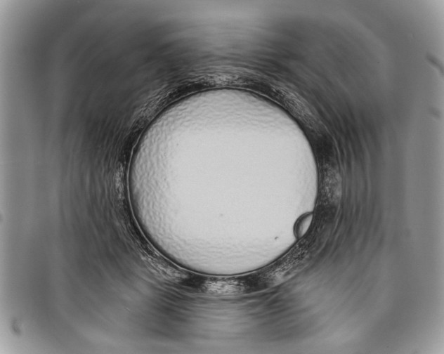 X0000097770461200803281643