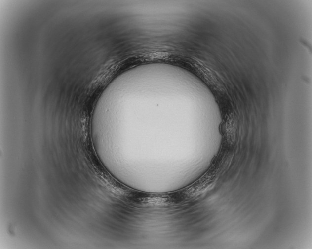 X0000097770462200803281643