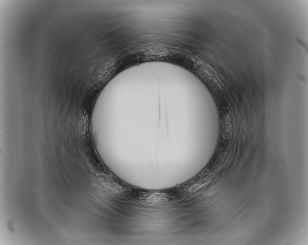 X0000097770463200803281644