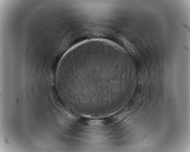 X0000097770465200803281644