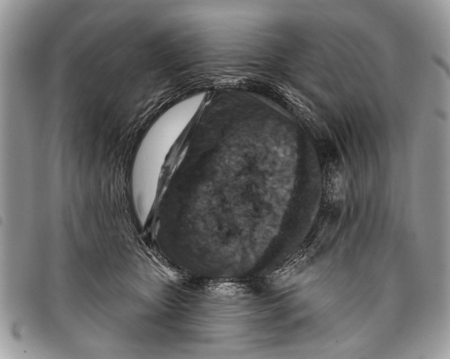 X0000097770467200803281644