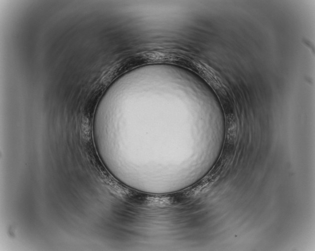 X0000097770469200803281644