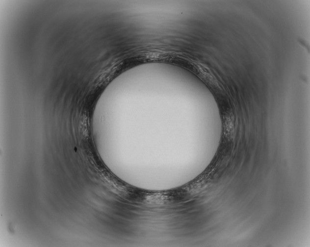 X0000097770470200803281644