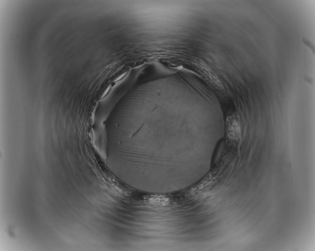 X0000097770471200803281644