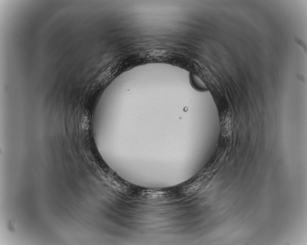 X0000097770472200803281644