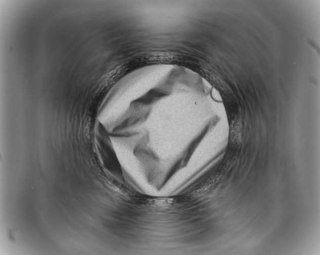 X0000097770474200803281644