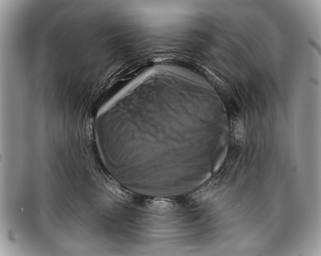 X0000097770475200803281644