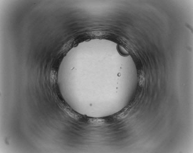 X0000097770476200803281644