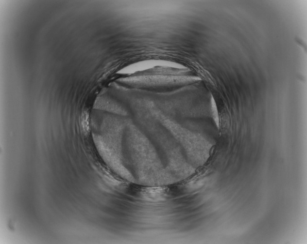 X0000097770479200803281644