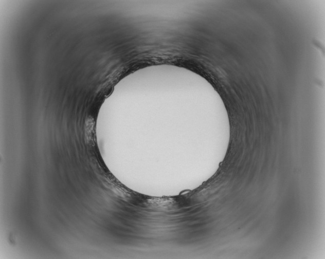 X0000097770480200803281644