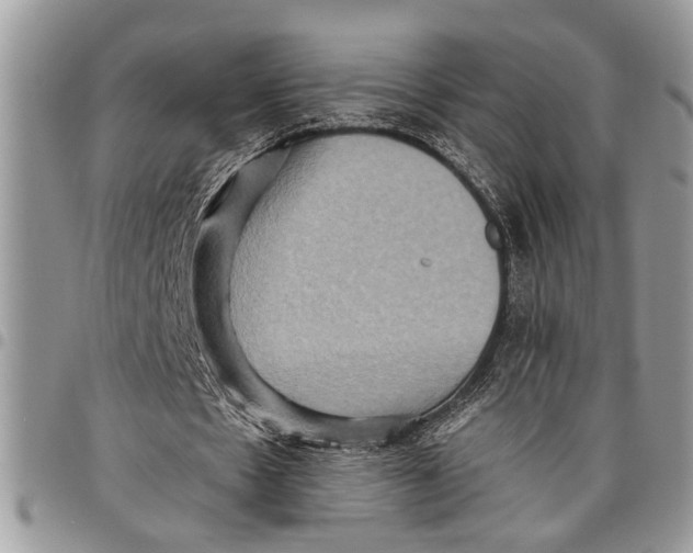 X0000097770481200803281643