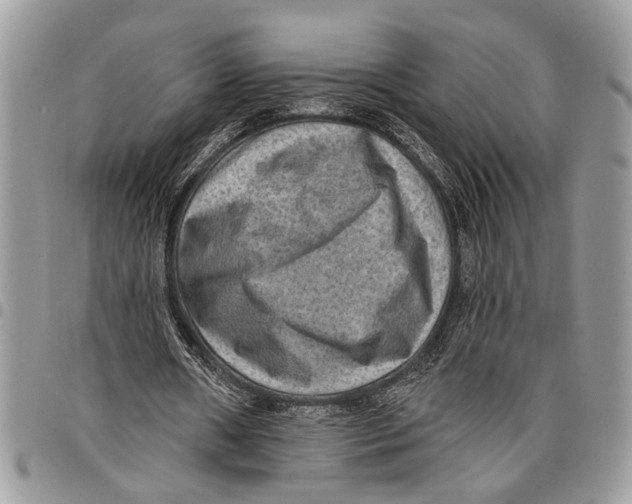 X0000097770482200803281643