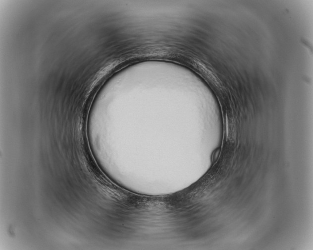 X0000097770483200803281643