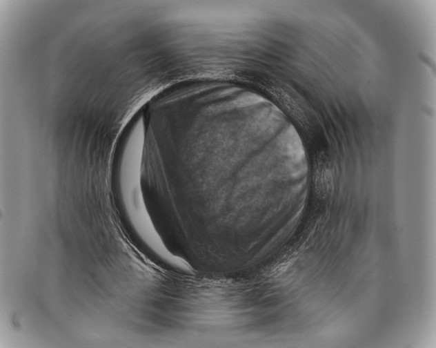 X0000097770484200803281643