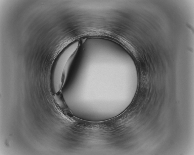 X0000097770485200803281643