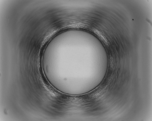 X0000097770486200803281643