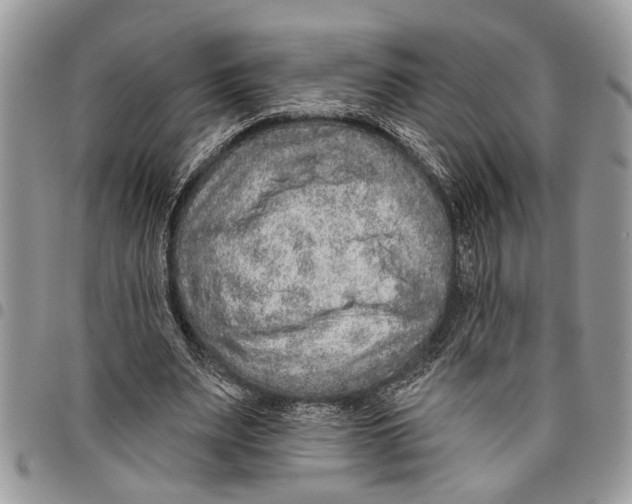 X0000097770487200803281643