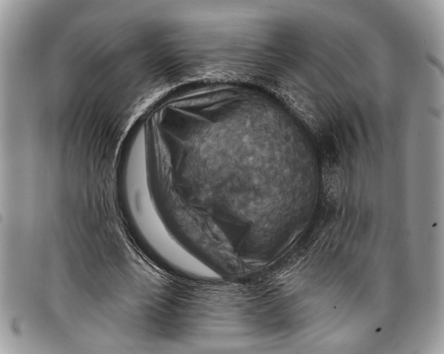 X0000097770488200803281643