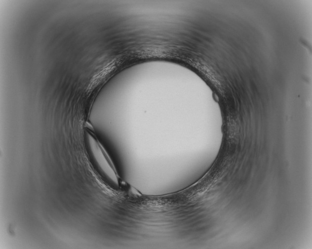 X0000097770489200803281643