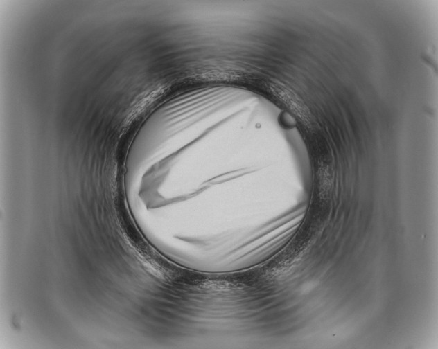 X0000097770490200803281643