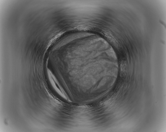 X0000097770492200803281643