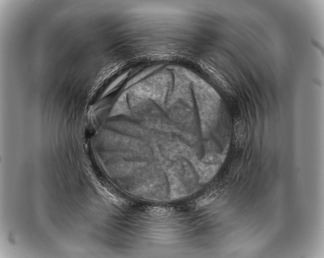 X0000097770494200803281643