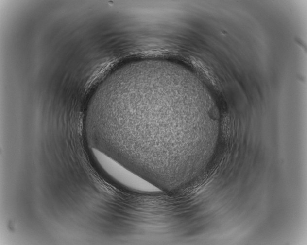 X0000097770495200803281643