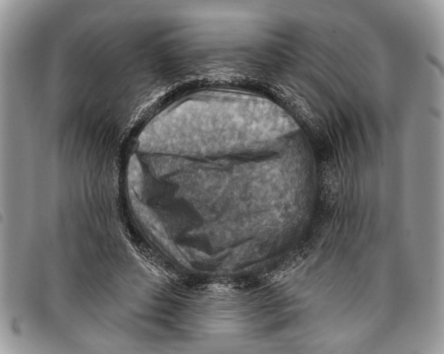 X0000097770496200803281643