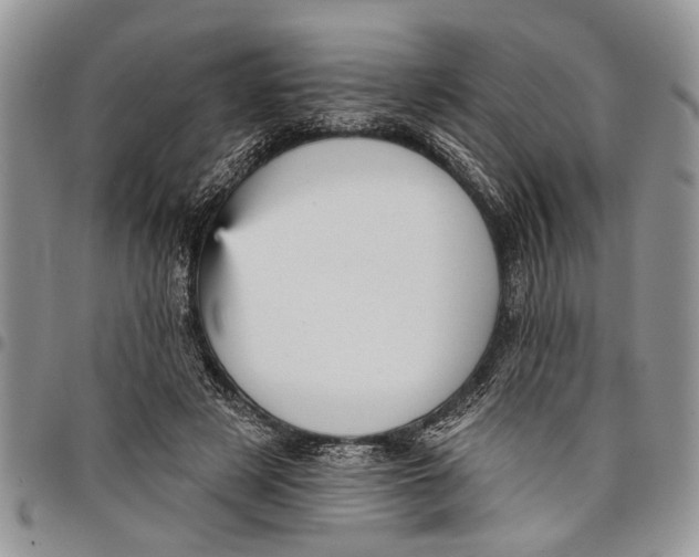 X0000097770497200803281643