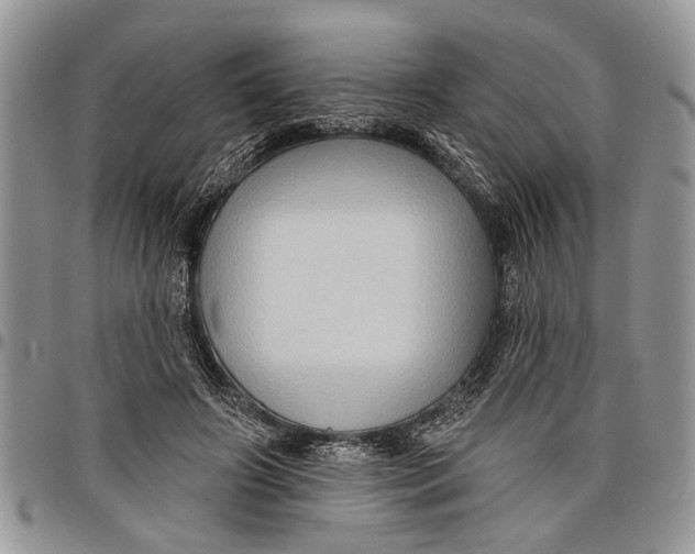 X0000097770498200803281643