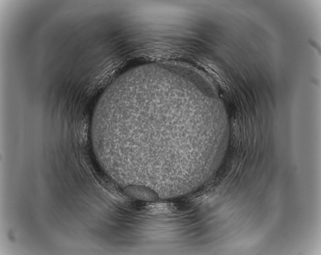 X0000097770499200803281643