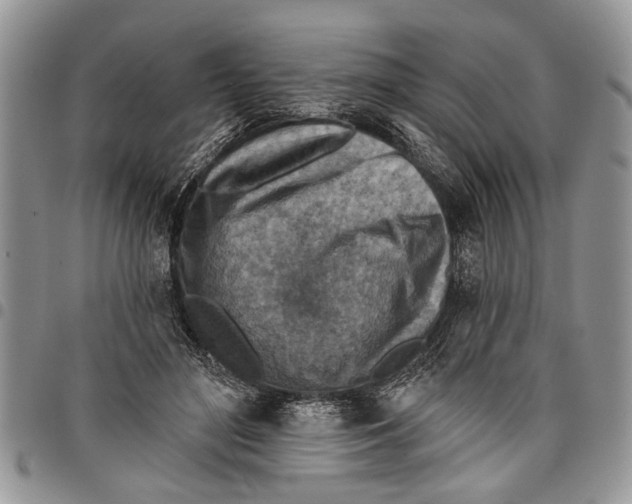 X0000097770500200803281643