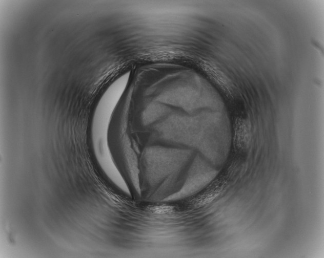 X0000097770501200803281643