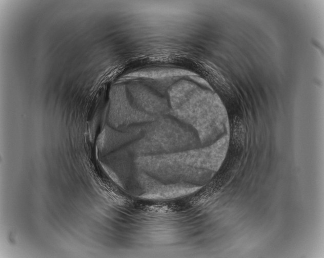 X0000097770502200803281643