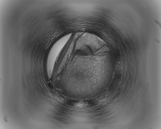 X0000097770504200803281643