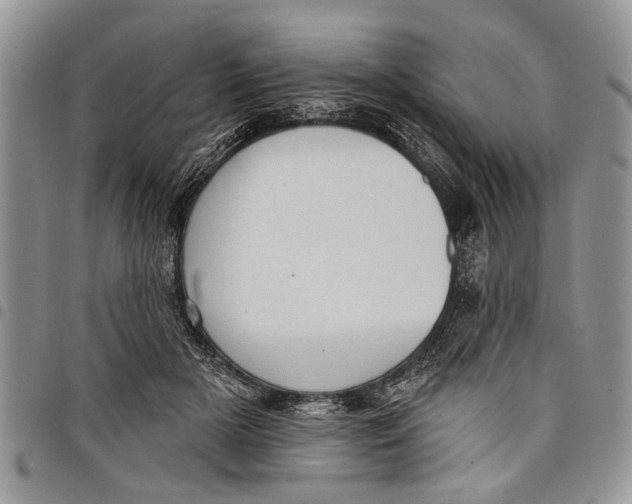 X0000097770505200803281643