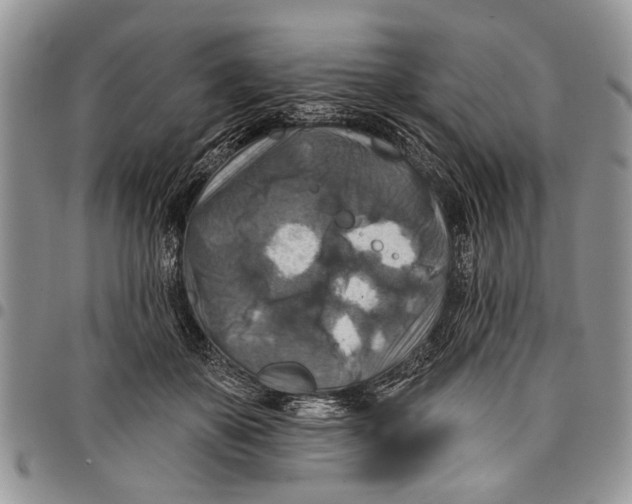 X0000097770507200803281643