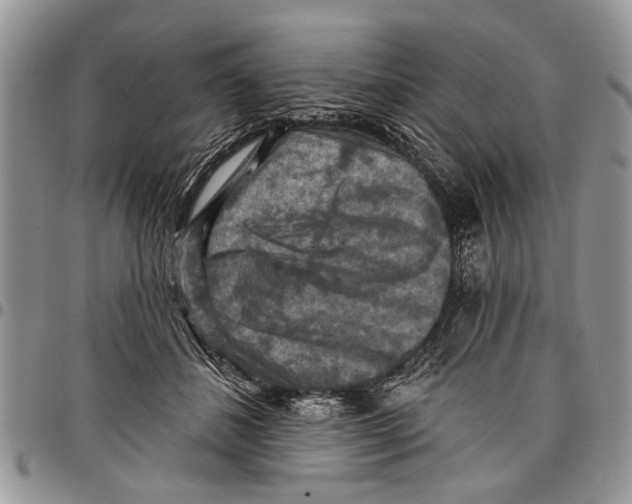 X0000097770508200803281643