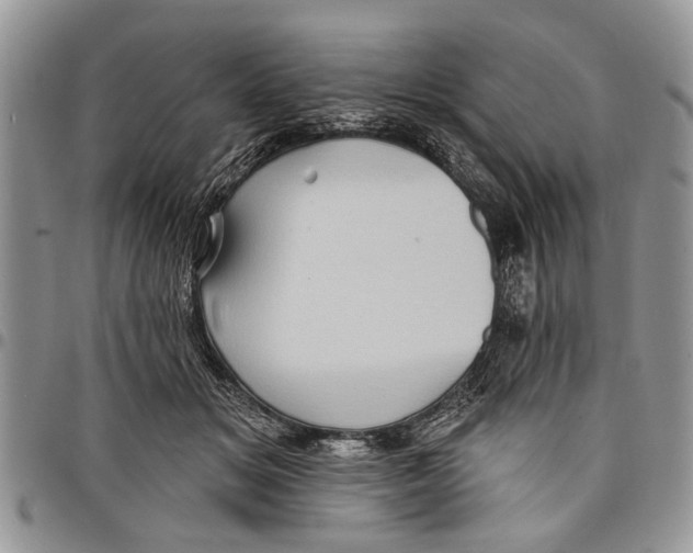 X0000097770509200803281643