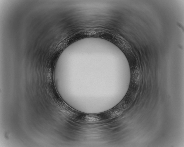 X0000097770510200803281643