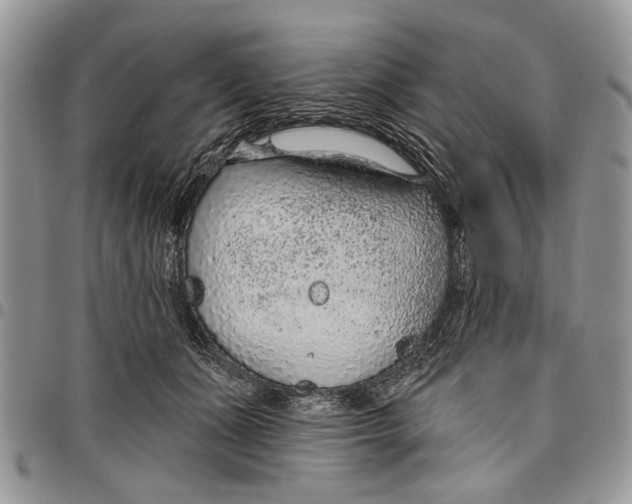 X0000097770511200803281643