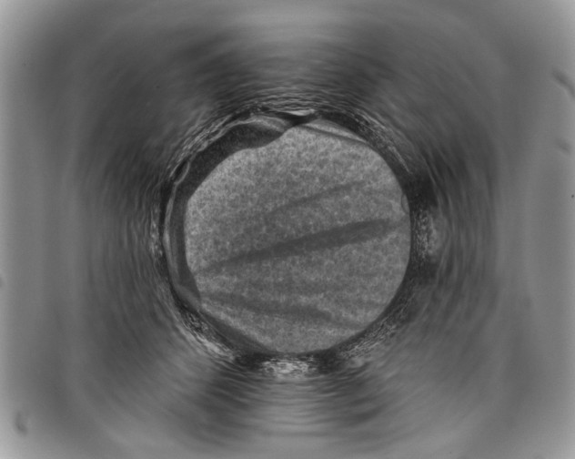 X0000097770512200803281643