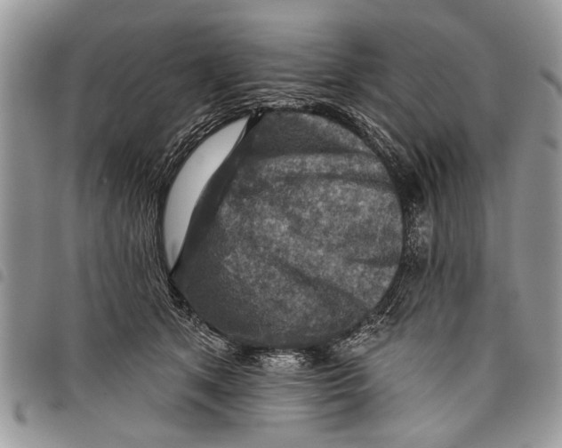 X0000097770513200803281643