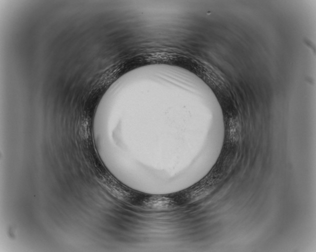 X0000097770514200803281643