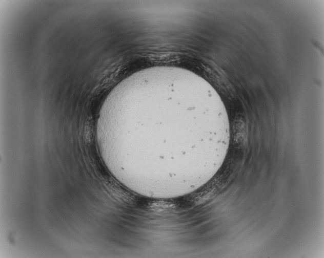 X0000097770515200803281643