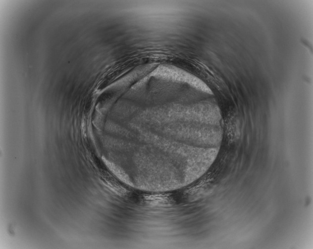 X0000097770516200803281643