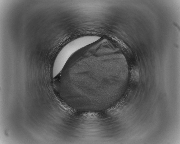 X0000097770517200803281643