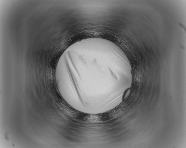 X0000097770518200803281643