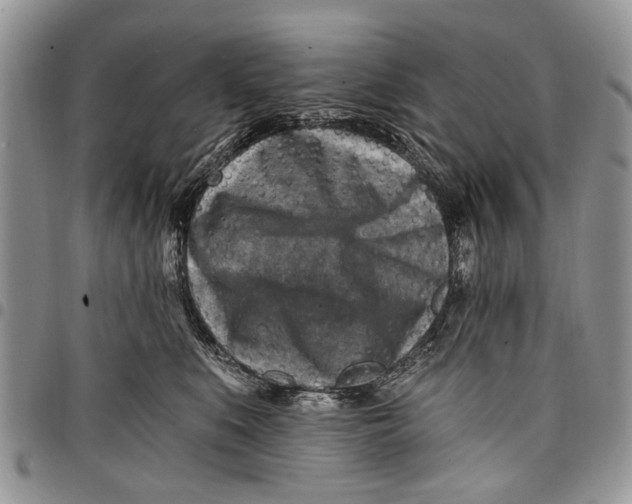 X0000097770519200803281643